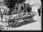 Allied troops watch a passing cart laden with corpses * Allied troops watch a passing cart laden with corpses intended for burial leave the compound of the Dachau concentration camp. * 480 x 349 * (48KB)